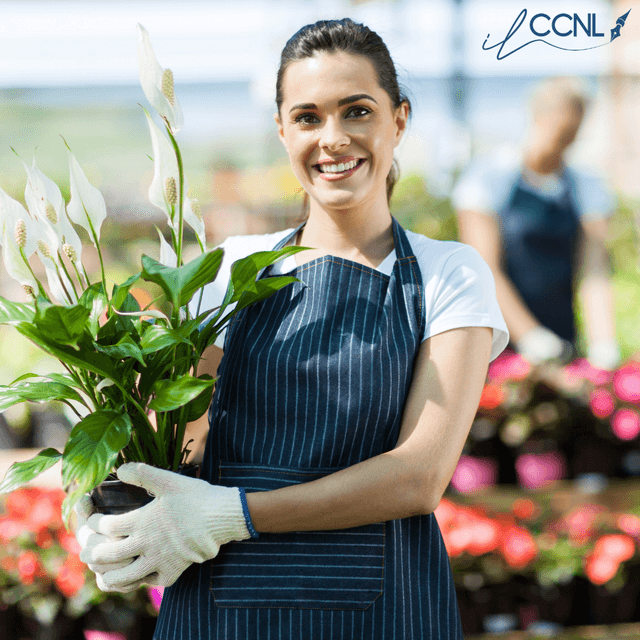 Fiori Recisi: Rinnovo CCNL 30.03.2023