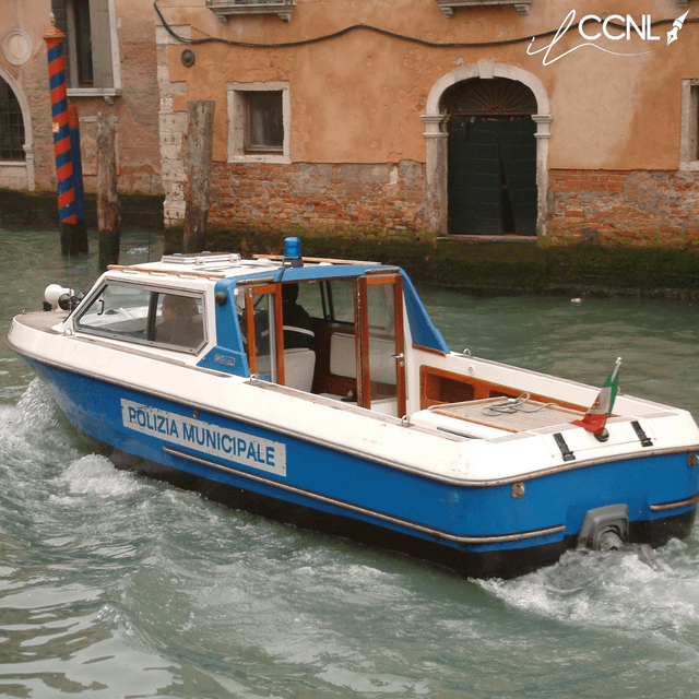 Forze di Polizia: DPR 24/03/2025 n. 53