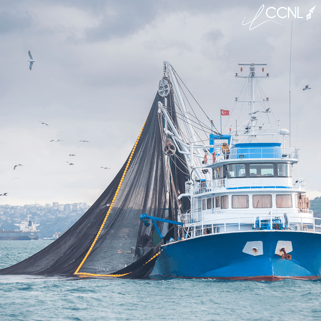 Pesca - Imprese: Accordo 29.05.2024 Sezione non imbarcati