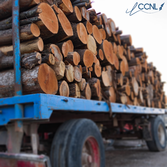 Boschi e Foreste - Industria: Aggiornamento minimi contrattuali