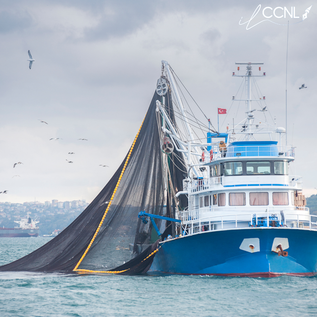 Pesca Personale imbarcato - Imprese: Aggiornamento minimi contrattuali